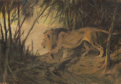 Lion Heading to the River by Wilhelm Kuhnert